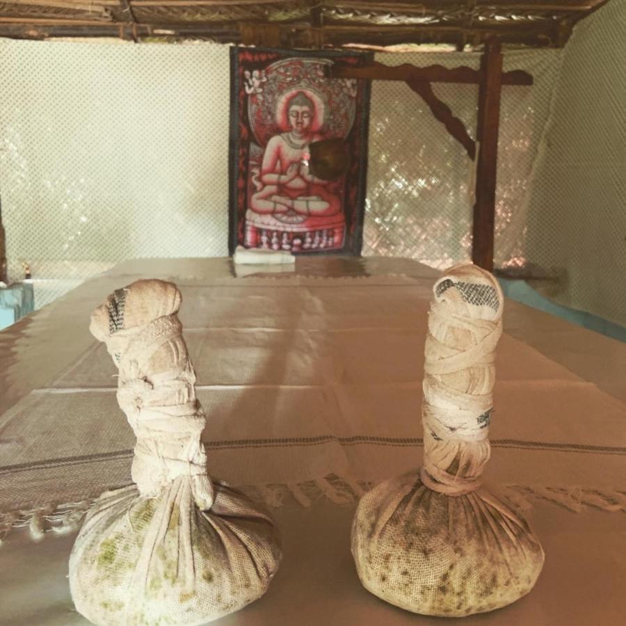 Green Garden Ayurvedic Resort & Green House Varkala Ngoại thất bức ảnh